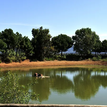 Popilia Country Resort-3
